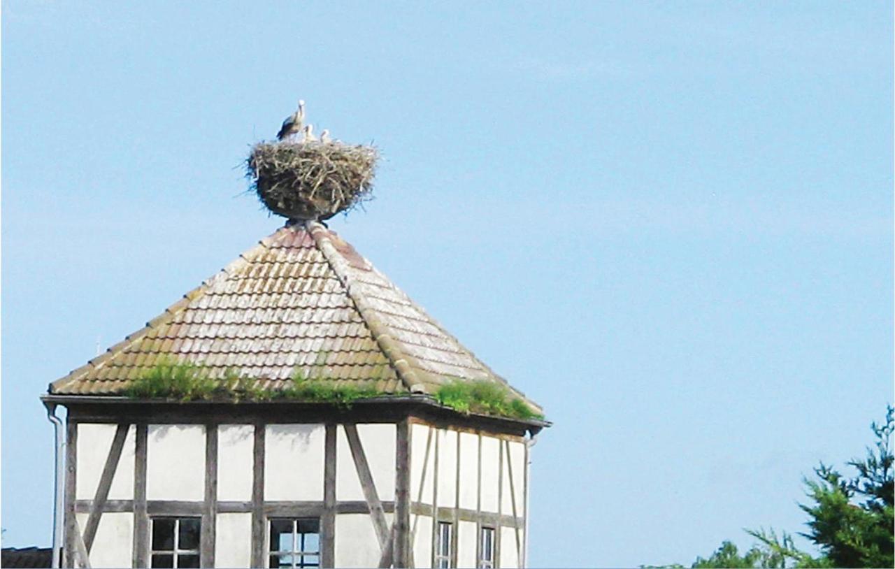 Herrenhaus Lübbenow V Exterior foto